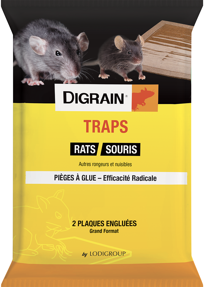 PLAQUE A GLUE POUR RAT ET SOURIS DIGRAIN TRAPS